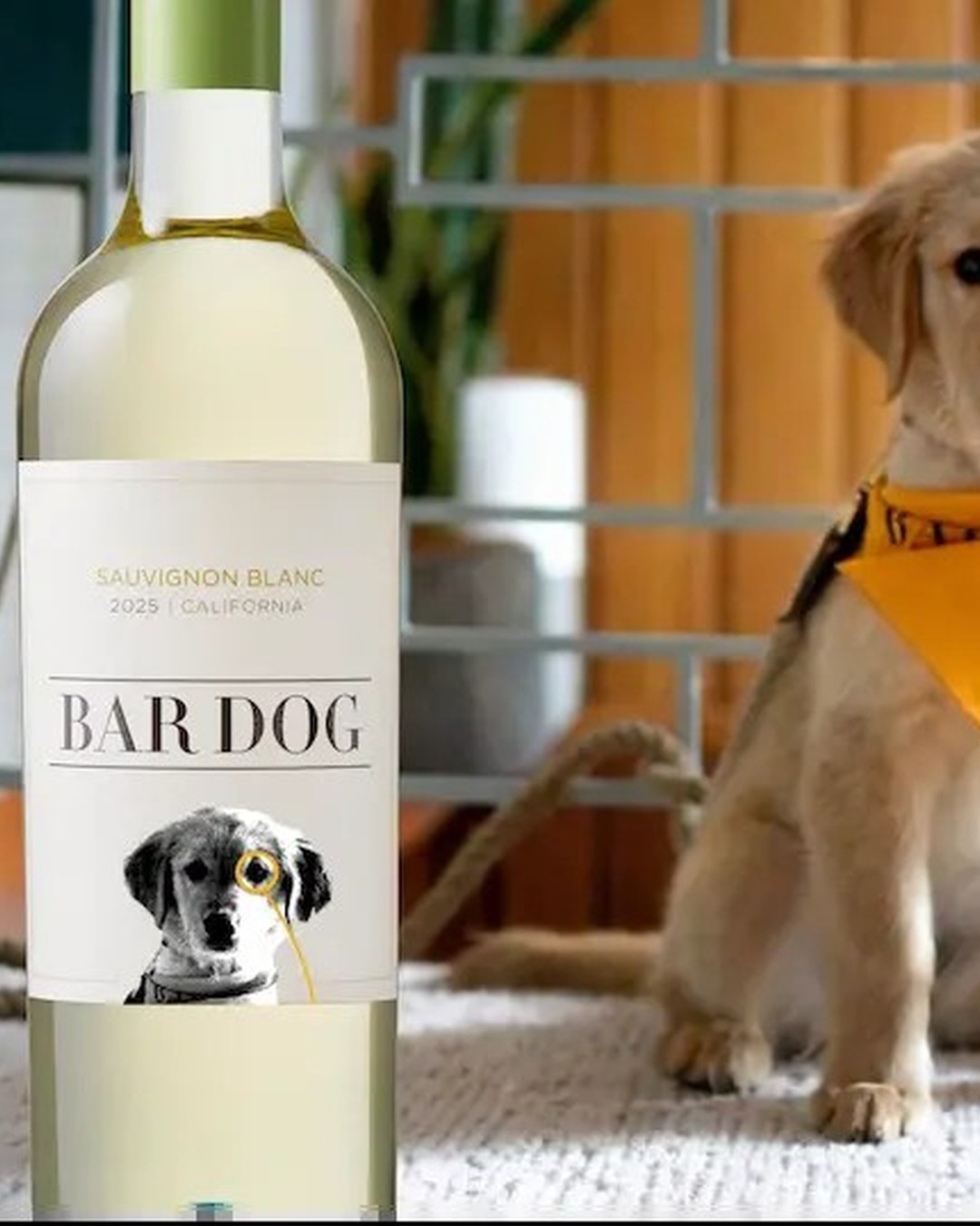 Bar Dog Sauvignon Blanc bottle